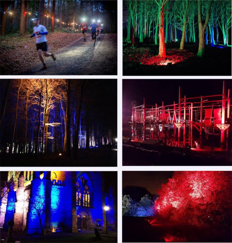 Six images of multicoloured outdoor lighting including woodland and a cathedral